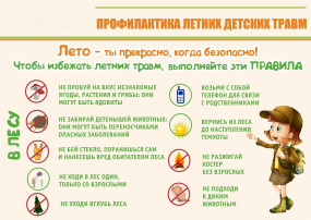 Безопасное поведение летом Безопасное поведение летом.
